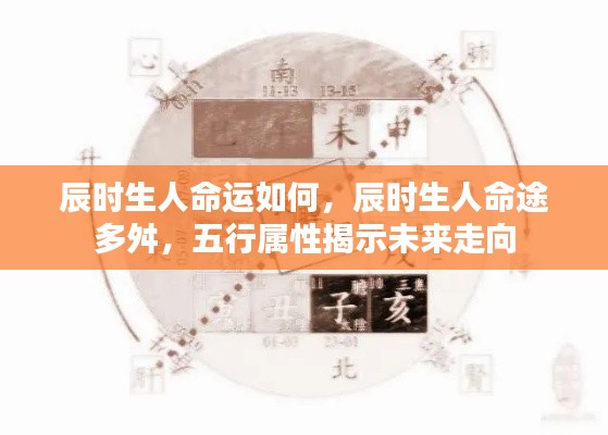 辰时出生人的命运解析,五行属性揭示未来走向与命途多舛的真相