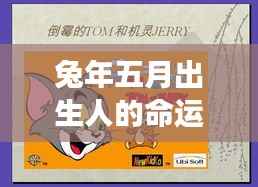 兔年五月出生人的命运展望与特质分析