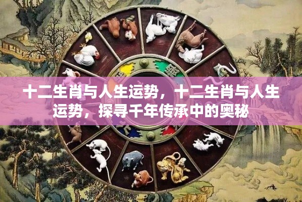 十二生肖与人生运势,探寻千年传承中的奥秘与关联