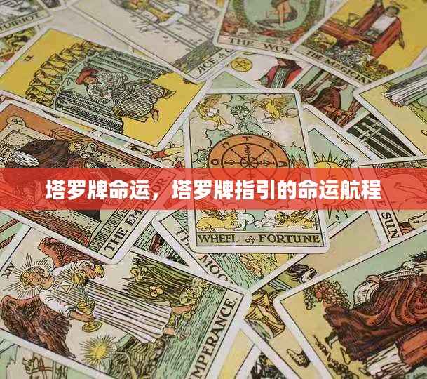 塔罗牌指引的命运探索之旅