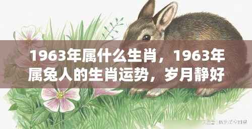 岁月静好，揭秘属兔人在1963年的生肖运势与机遇挑战并存的一年