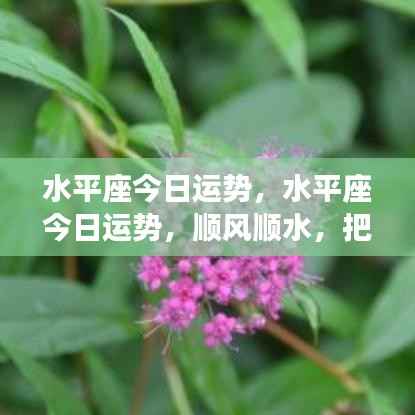 水平座今日运势详解,顺风顺水,机遇把握之道