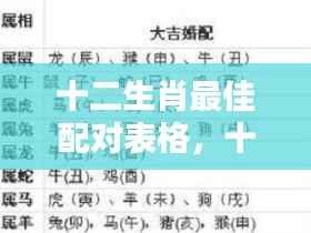 十二生肖最佳配对表格揭秘，深度解析生肖情缘