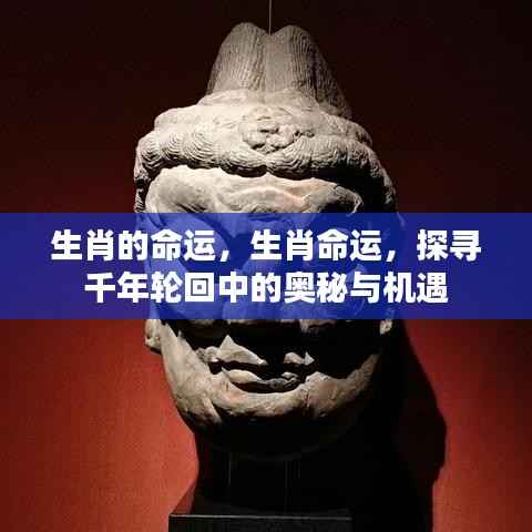 生肖命运奥秘探寻，千年轮回中的机遇与挑战