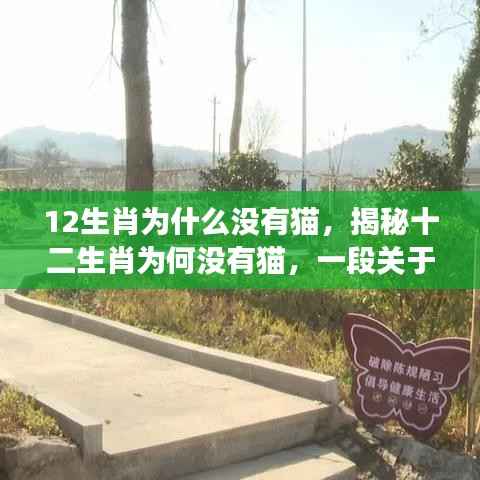 揭秘十二生肖为何没有猫，一段关于选择与传承的传奇故事