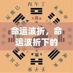 对答如流 第7页