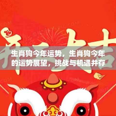 生肖狗今年运势展望,挑战与机遇并存,运势大解析