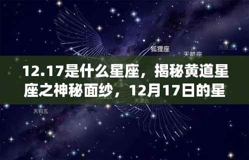 揭秘黄道星座之神秘面纱，12月17日星座运势解析及星座属性探讨