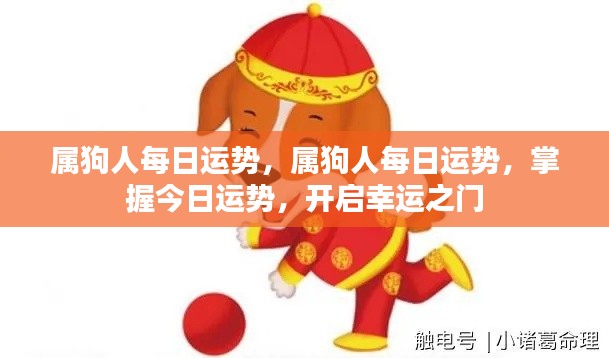 属狗人今日运势详解,开启幸运之门,掌握每日运势变化
