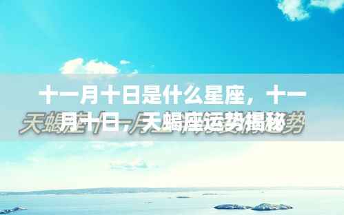 十一月十日天蝎座运势揭秘,星座特征与运势分析