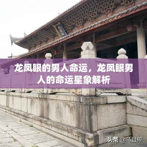 龙凤眼男人的命运解析与星象解读