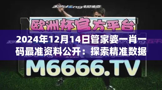 2024年12月14日管家婆一肖一码最准资料公开:探索精准数据的力量