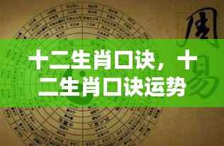 十二生肖口诀运势解析,洞悉未来走向