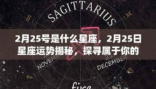 2月25日星座运势揭秘，探寻属于你的星辰轨迹，掌握星座命运之舵