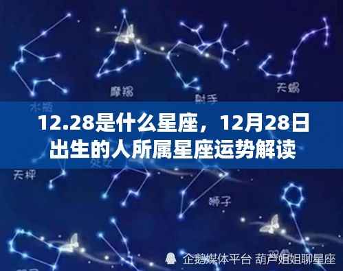 12月28日星座运势解读,探寻星座运势与性格特征之路