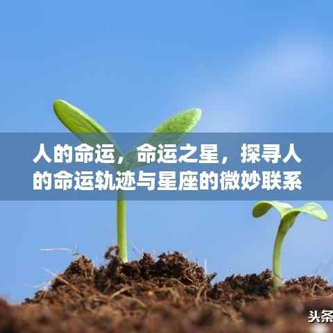 命运之星，探寻星座与人生轨迹的微妙联系