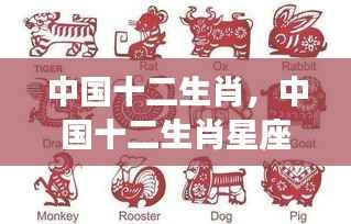 中国十二生肖星座运势深度解析