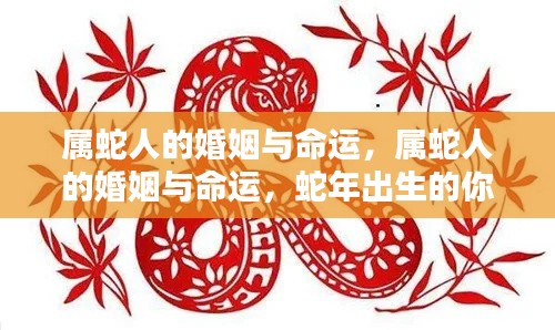 属蛇人的婚姻与命运奥秘,蛇年出生者的独特情缘与命运解析