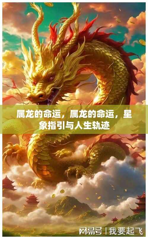 属龙的命运，星象指引下的属龙人生轨迹