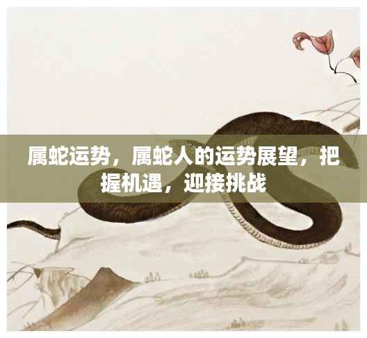 属蛇人的运势展望,把握机遇,挑战未来