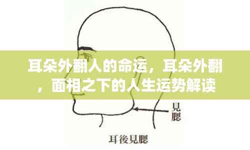 耳朵外翻面相解读，命运与人生运势探讨
