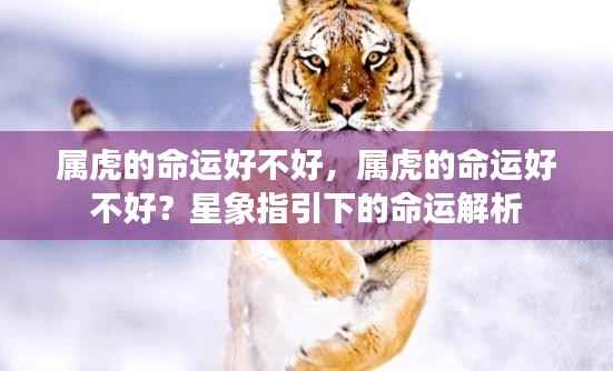 星象揭秘，属虎人的命运解析与运势展望