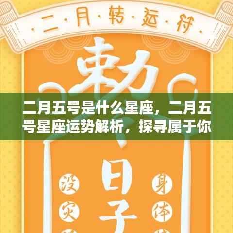 二月五号星座运势解析，探寻属于你的星座命运之路