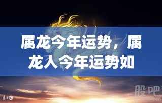 属龙今年运势大揭秘,全面解读龙年出生者的运势走向