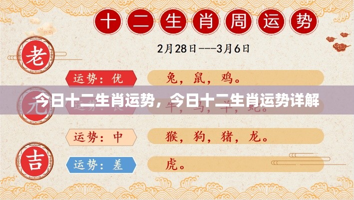 今日十二生肖运势详解，全面解析十二生肖运势特点与运势变化