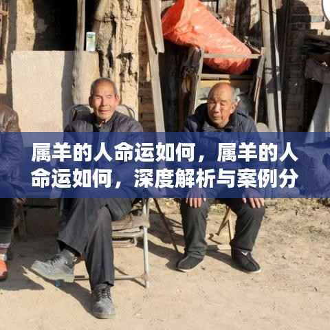 属羊人的命运深度解析与案例分享,探寻命运轨迹,洞悉羊年人生运势