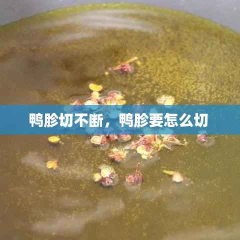 鸭胗切不断,鸭胗要怎么切