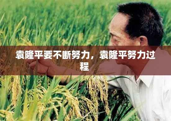 袁隆平要不断努力,袁隆平努力过程