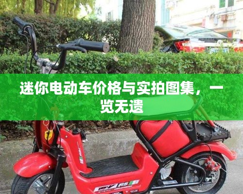 迷你电动车价格与实拍图集,一览无遗