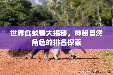 世界食蚁兽大揭秘,神秘自然角色的排名探索