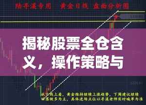 揭秘股票全仓含义，操作策略与风险解析