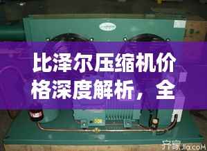 比泽尔压缩机价格深度解析,全面了解市场行情与报价