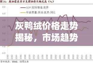 灰鸭绒价格走势揭秘,市场趋势、影响因素与未来展望分析