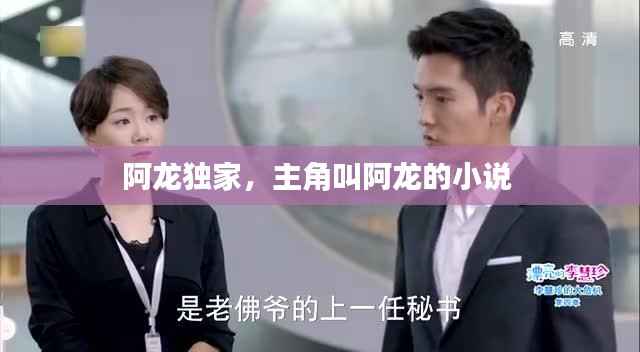 阿龙独家，主角叫阿龙的小说 