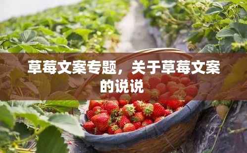 草莓文案专题,关于草莓文案的说说