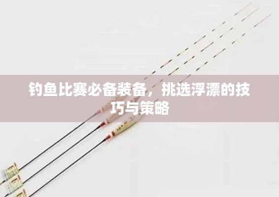 钓鱼比赛必备装备,挑选浮漂的技巧与策略