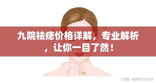 九院祛痣价格详解,专业解析,让你一目了然!